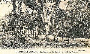Hammam Bou Hadjar 607